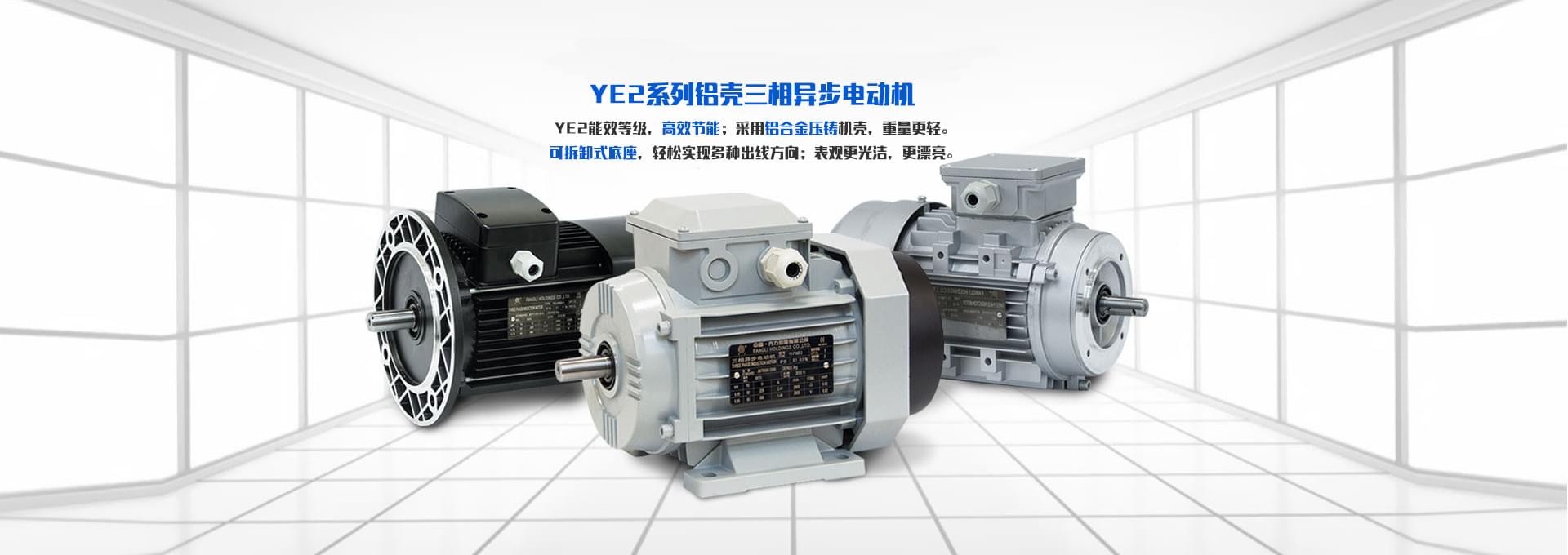 YE2系列铝壳三相异步电动机